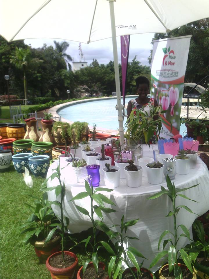 Maua and More Kensington Shopping Boulevard, Kensington Luxury Heights Kyanja, Kampala, Uganda, Gardeners, Gardens, Kampala Uganda Gardening and Landscaping, Home Decor, Interior & Exterior Design, Herbs, Flowers, Flower Pots Kampala Uganda, Ugabox